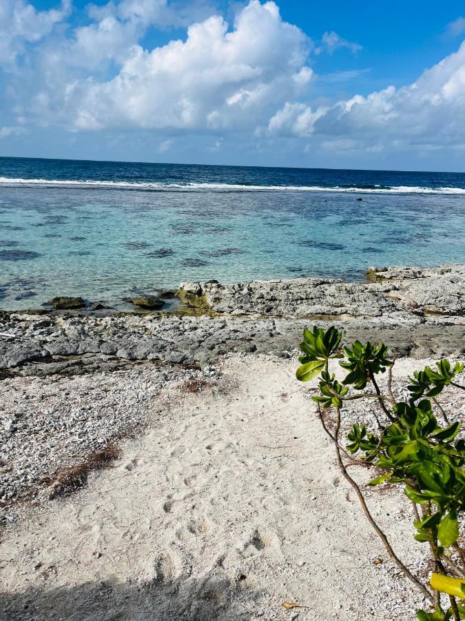 Bungalow Kura Moorea Eksteriør bilde