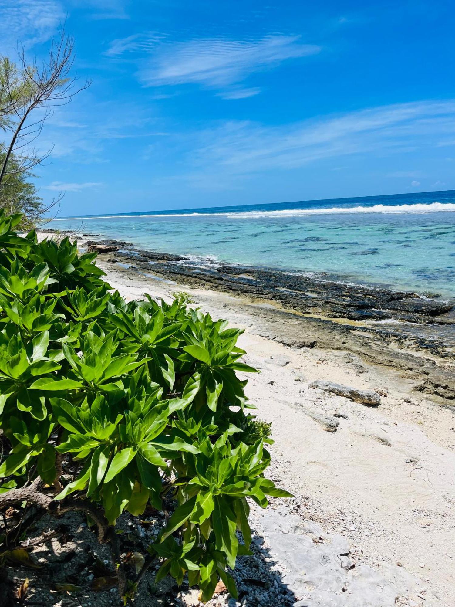Bungalow Kura Moorea Eksteriør bilde
